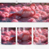 Pembe Flamingo Melodisi Kupası – Porselen Kahve Kupası