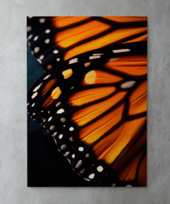 Monarch Kelebek Kanadı – Metal Tablo