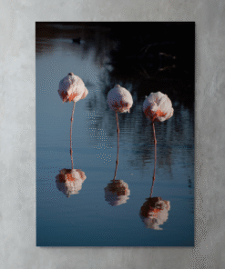 Uyuyan Flamingolar – Metal Tablo