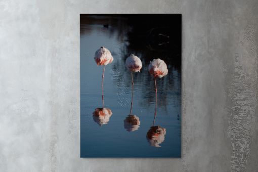 Uyuyan Flamingolar – Metal Tablo