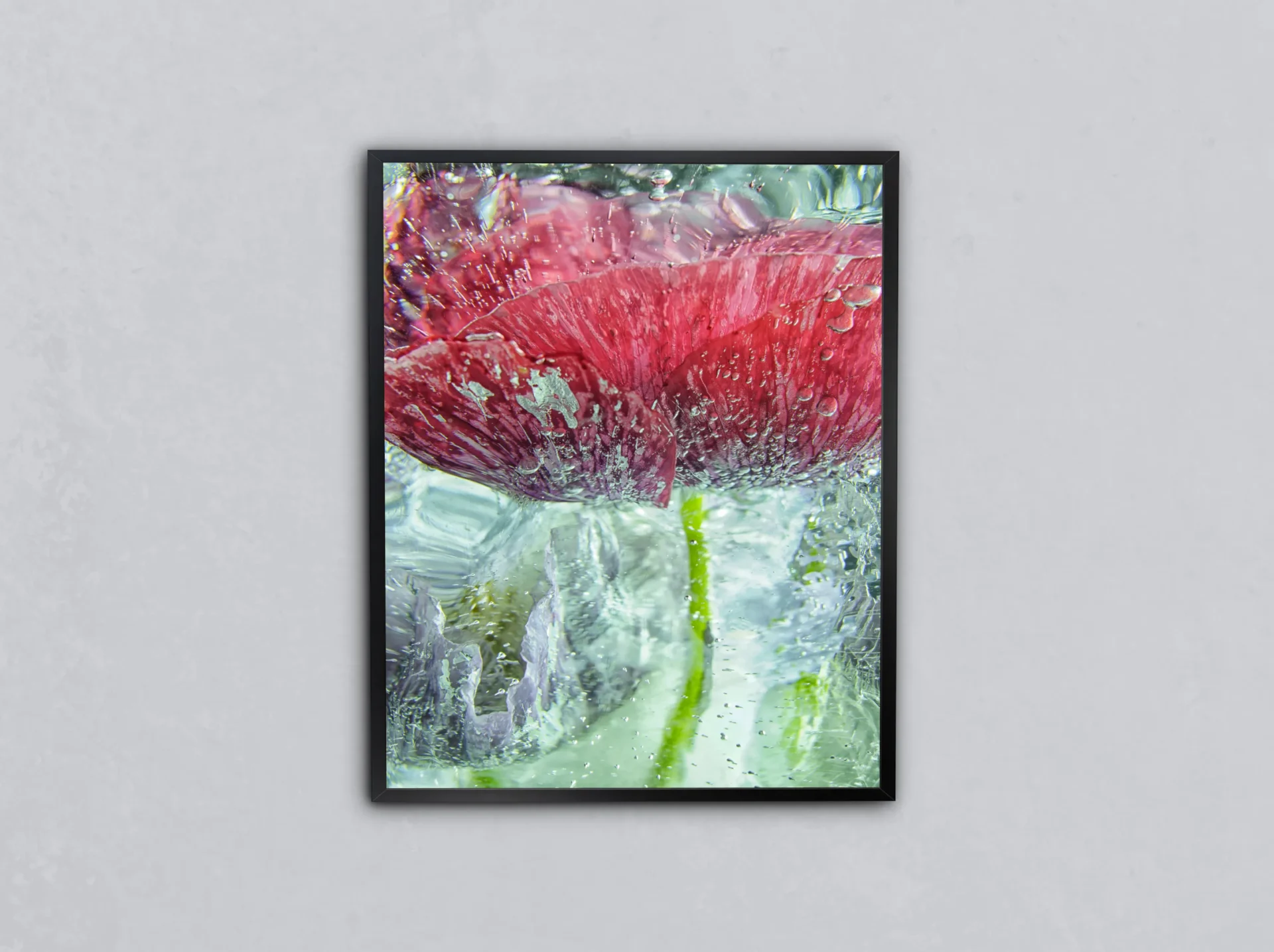 Donmuş Gelincik Metal Tablo