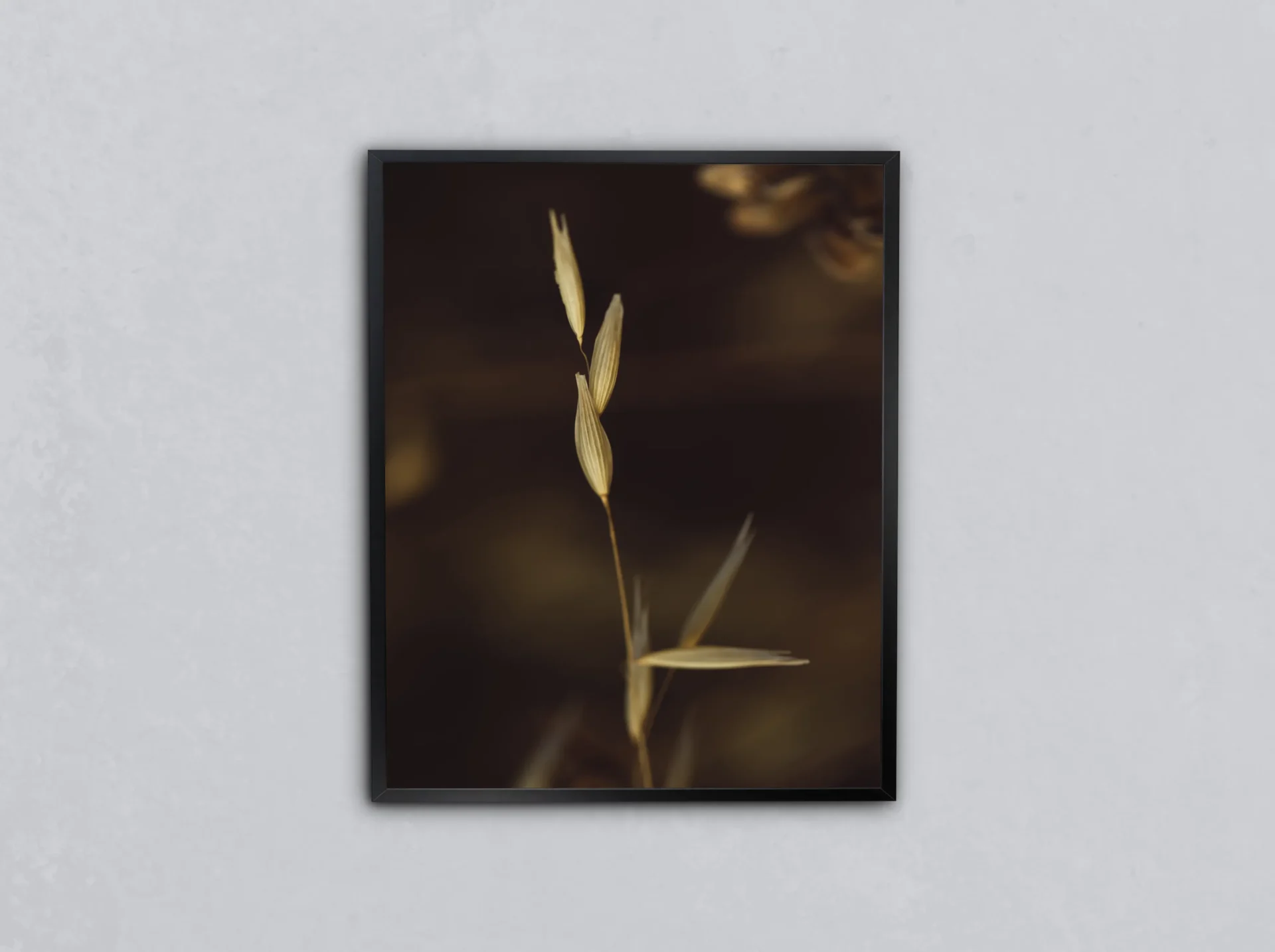 Gece Işığında Buğday Başakları Metal Tablo