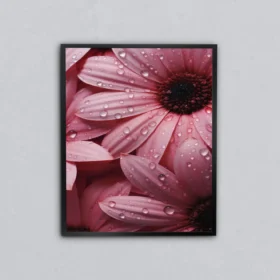 Pembe Papatyalar Metal Tablo