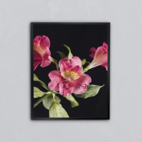 Pembe Bahar Metal Tablo