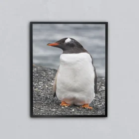 Kumsaldaki Penguen Metal Tablo