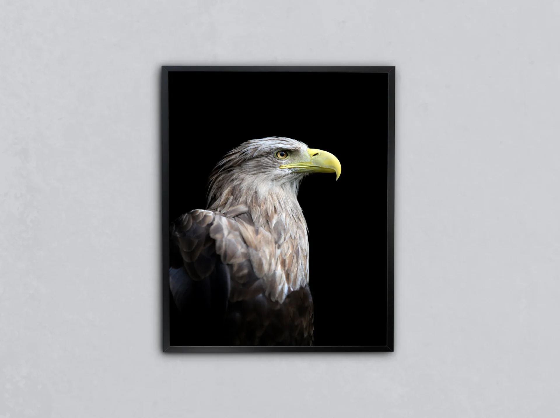 Gökyüzü Kartalı Metal Tablo