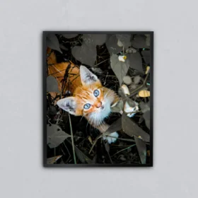 Camın Ardındaki Kedi Metal Tablo