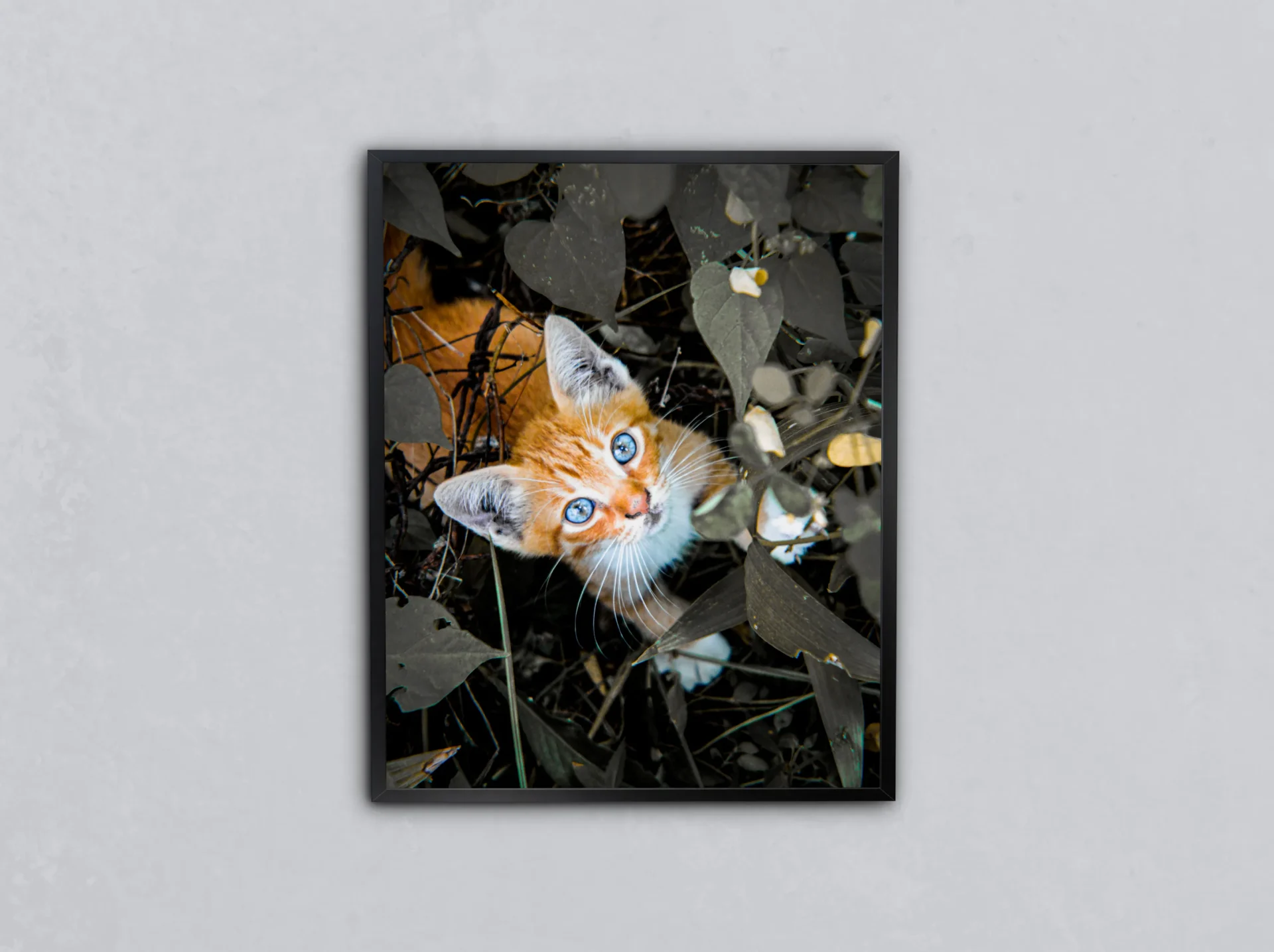 Camın Ardındaki Kedi Metal Tablo