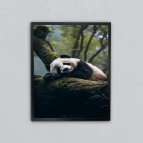 Bambu Gölgesindeki Panda Metal Tablo
