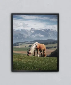 Doğanın İçindeki Atlar Metal Tablo