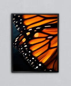 Monark Kelebeği Metal Tablo