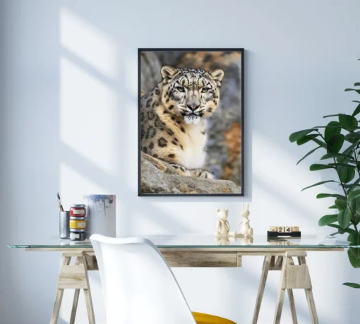 Dağların Gölgesinde Kar Leoparı Metal Tablo - Görsel 3