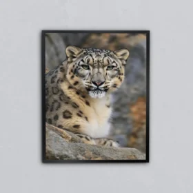 Dağların Gölgesinde Kar Leoparı Metal Tablo