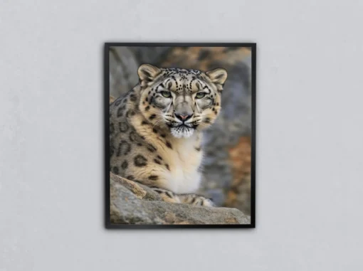 Dağların Gölgesinde Kar Leoparı Metal Tablo
